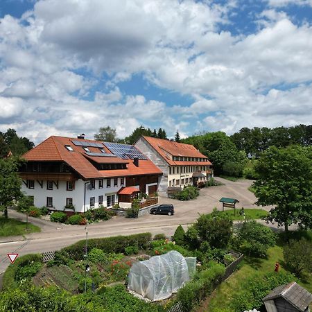 Apartamento Haus Schlageter Dachsberg im Schwarzwald Exterior foto