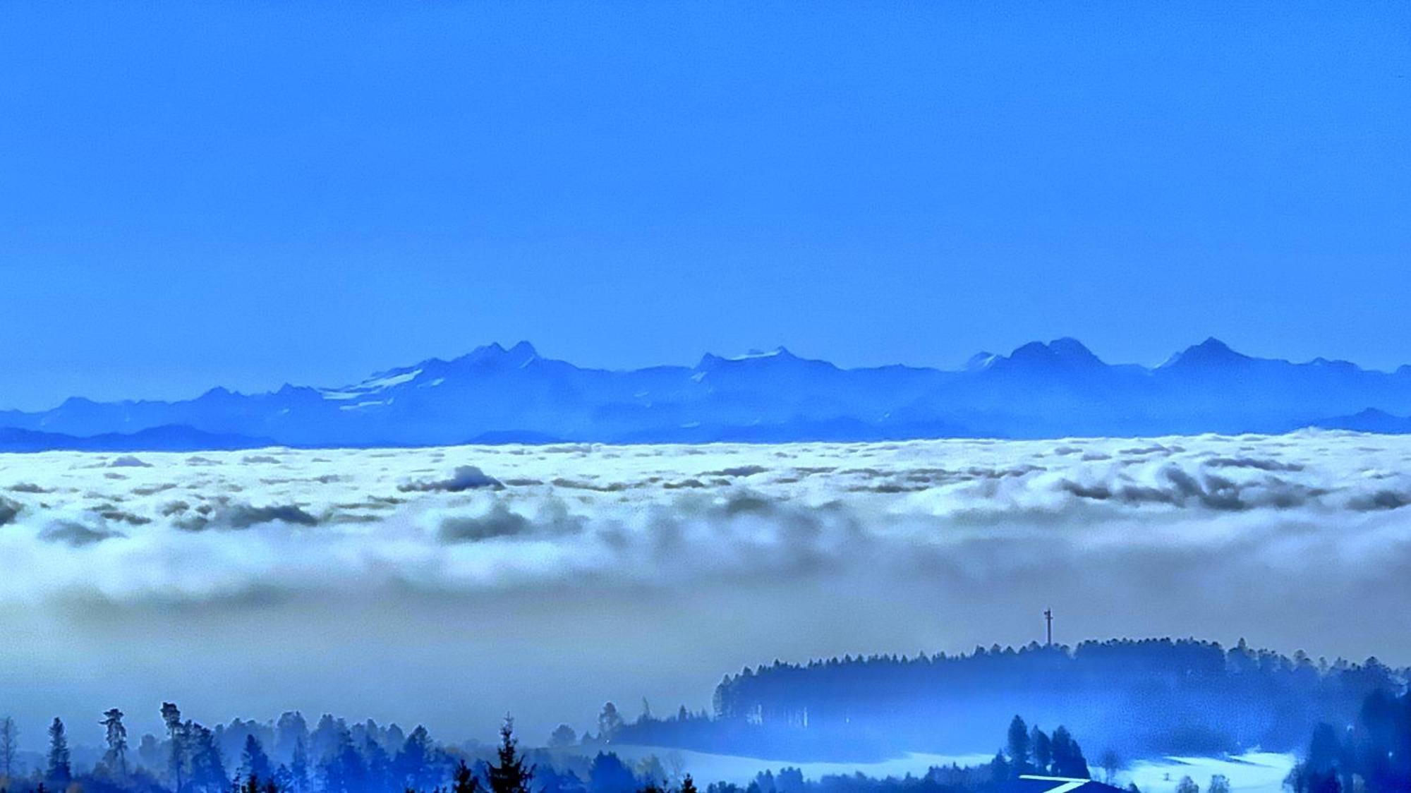 Apartamento Haus Schlageter Dachsberg im Schwarzwald Exterior foto