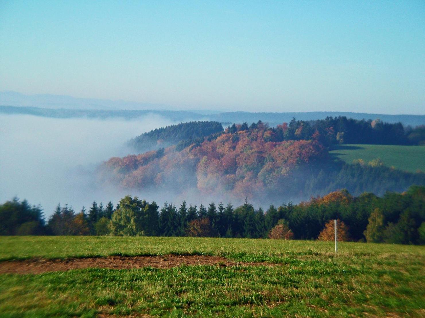 Apartamento Haus Schlageter Dachsberg im Schwarzwald Exterior foto