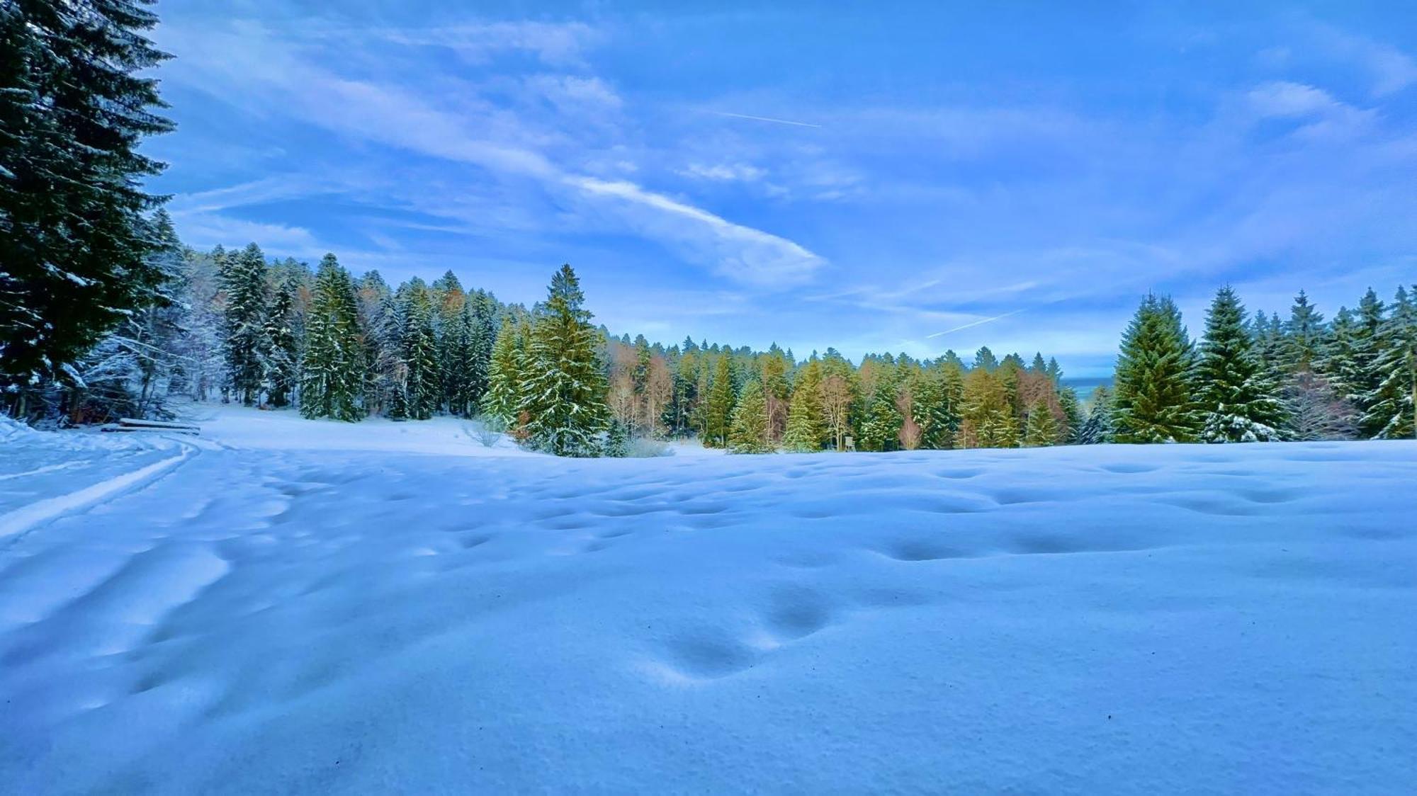 Apartamento Haus Schlageter Dachsberg im Schwarzwald Exterior foto