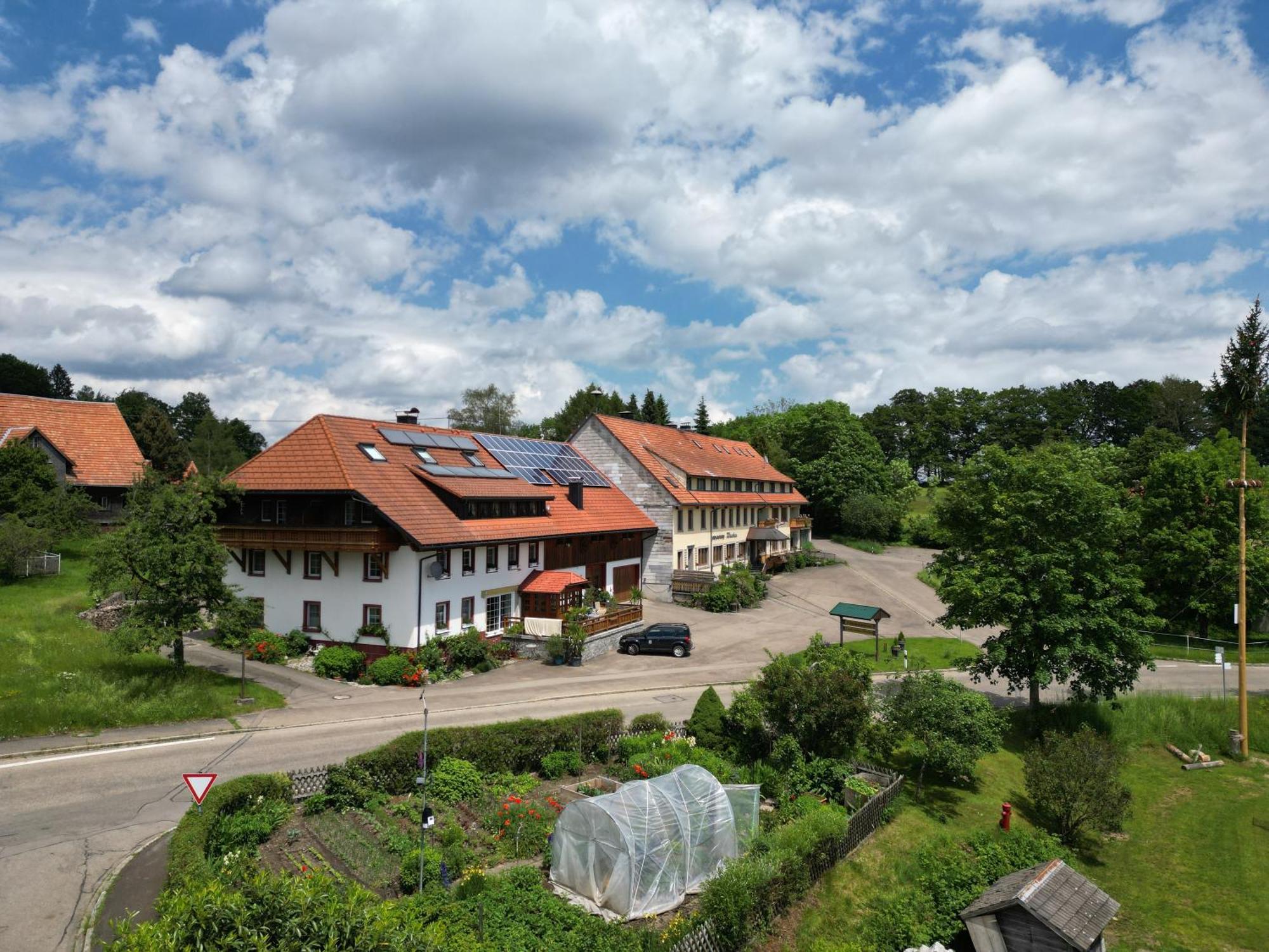 Apartamento Haus Schlageter Dachsberg im Schwarzwald Exterior foto