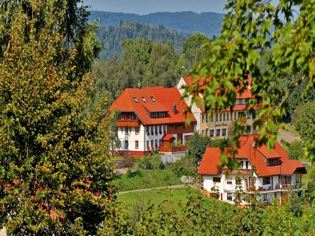 Apartamento Haus Schlageter Dachsberg im Schwarzwald Exterior foto